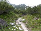 Planina Podvežak - Kocbekov dom na Korošici